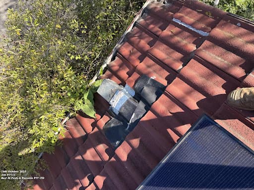 Best at Pests & Possums — Customer photo