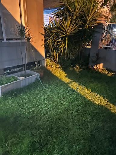 BugOff Pest Control — Customer photo