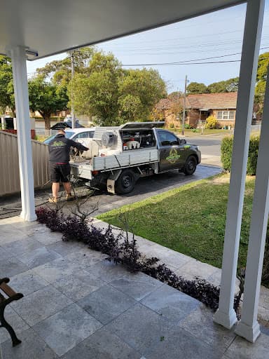Sydney Wide Pest Solutions — Customer photo
