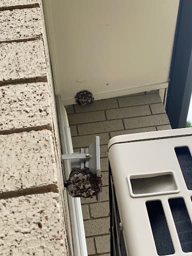 Sydney Wide Pest Solutions — Customer photo