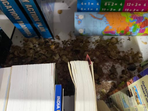 Complete Pest Control — Customer photo