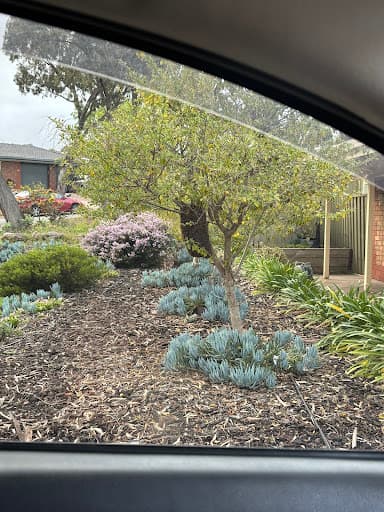 House Care Pest Control — Customer photo