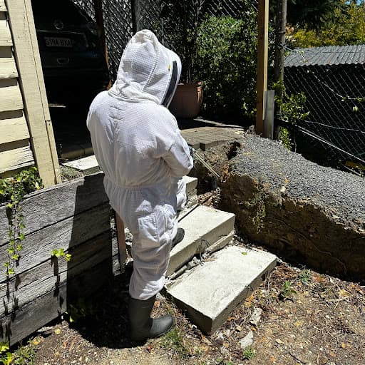 Adelaide Hills Pest Control — Customer photo