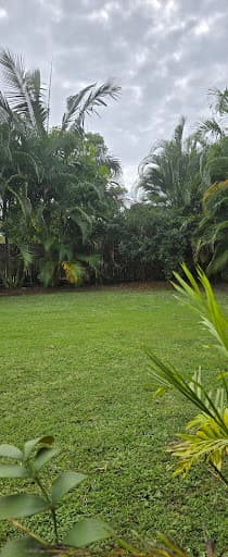 Maca's Pest Control — Customer photo
