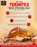 Safe Termite and Pest Control Canberra - Termite Control Canberra | End of lease Pest Control Canberra
