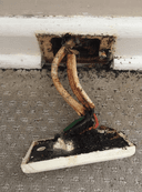 Launceston Pest Control