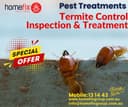 Pest Termite Control Melbourne 24/7 COMMERCIAL-BED BUGS-RODENT-POSSUM REMOVAL-WASP-SPİDER-Termite inspection- HomeFix Group